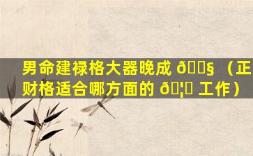 男命建禄格大器晚成 🐧 （正财格适合哪方面的 🦅 工作）